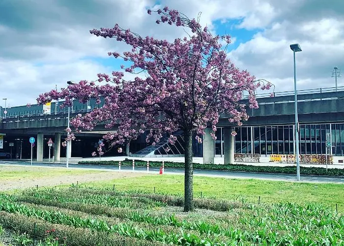 Maritim Airport Hannover Hotell 4*