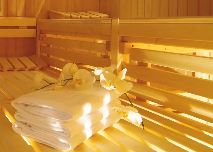 玛丽蒂姆汉诺威酒店 4*