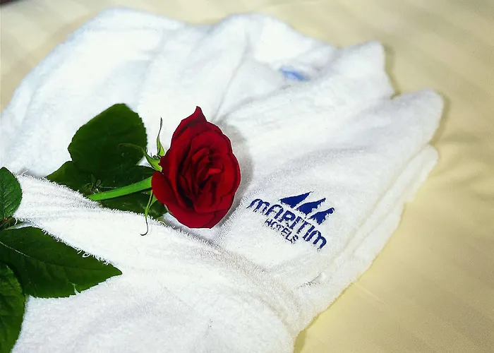 酒店 玛丽蒂姆汉诺威酒店 朗根哈根