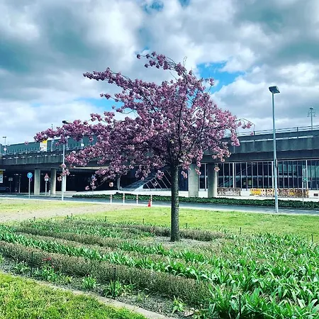 Maritim Airport Hannover Ξενοδοχείο 4*